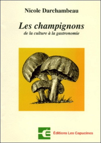 Les champignons : de la culture à la gastronomie