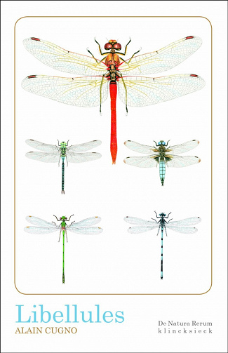 Libellules