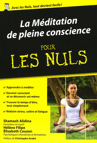La Méditation de pleine conscience Pour Les Nuls (2016)