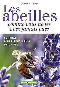 Les abeilles comme vous ne les avez jamais vues