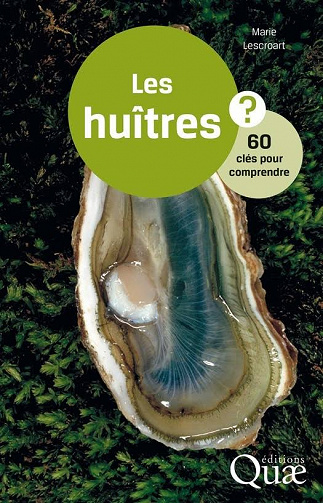 Les huîtres : 60 clés pour comprendre (2017)