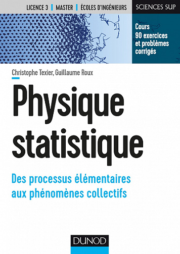 Physique statistique (2017)
