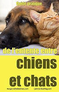 Guide pratique de l’entente entre chiens et chats