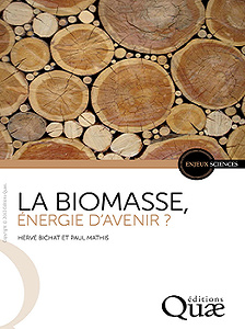 La biomasse, énergie d’avenir ?