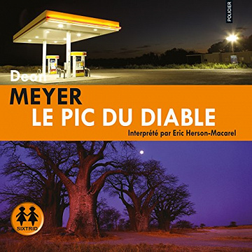 Le pic du diable - Deon Meyer (2015)