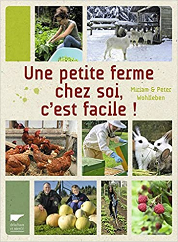 Une petite ferme chez soi, c’est facile !