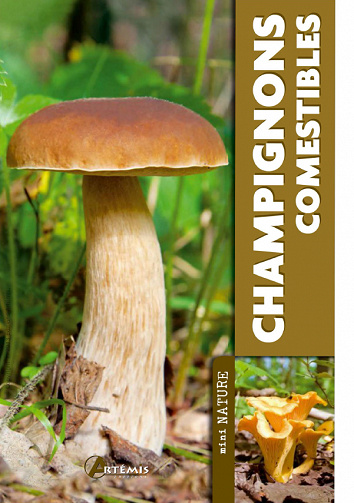 Artémis  - Champignons comestibles