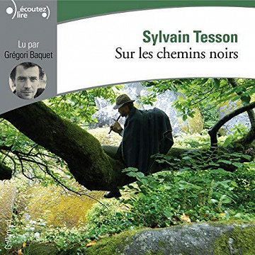 Sur les chemins noirs - Sylvain Tesson