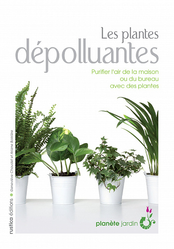 Les plantes dépolluantes - Boixiere / Chaudet