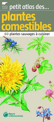 Petit atlas des plantes comestibles : 60 Plantes sauvages à cuisiner - Vincent Albouy