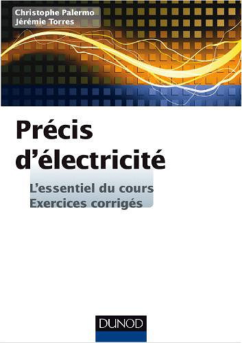 Précis d’électricité - Palermo, Christophe; Torres, Jérémi