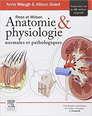 Anatomie et physiologie normales et pathologique