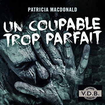 Un coupable trop parfait - Patricia MacDonald