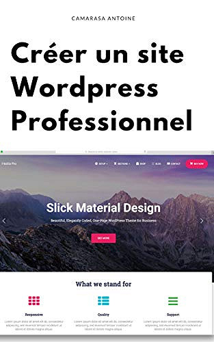 Wordpress: Créer un site professionnel de A à Z - Antoine Camarasa (2019)