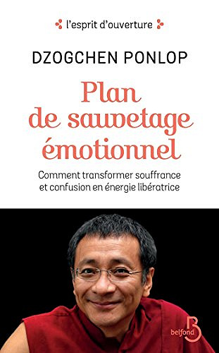 Plan de sauvetage émotionnel (L’esprit d’ouverture) - Dzogchen Ponlop Rinpoché (2018)