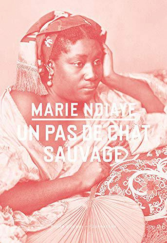 Un pas de chat sauvage - Marie NDiaye (2019)