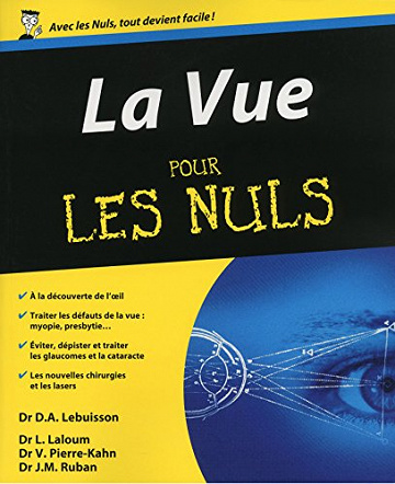 La Vue Pour les Nuls - Dan Alexandre Lebuisson