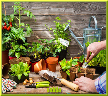 GIGAPACK 140 LIVRES Jardinage : Potager, Botanique, encyclopédie, Revus HD