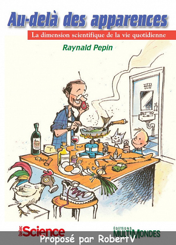 Raynald Pepin - Au-delà des apparences