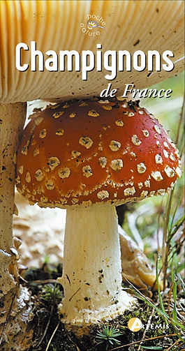Champignons de France - Collectif