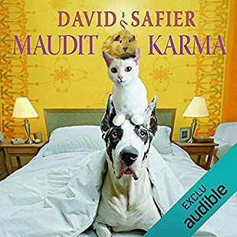 David Safier - Maudit Karma