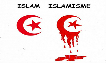 (Pack) Islam et Islamisme 134 epubs
