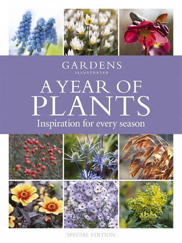 Gardens Illustrated - A Year of Plants 2020
