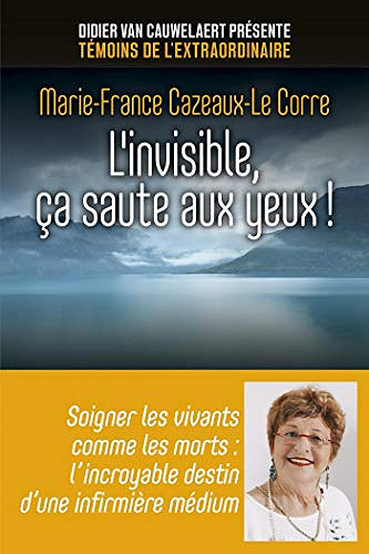 L’invisible, ça saute aux yeux ! - Marie-France CAZEAUX-LE CORRE