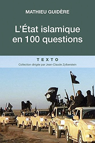 L’État islamique en 100 questions - Mathieu Guidère