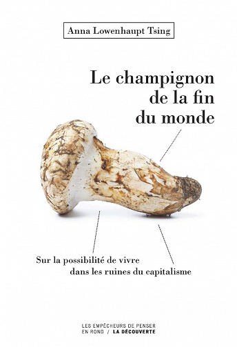 Anna Lowenhaupt Tsing - Le champignon de la fin du monde