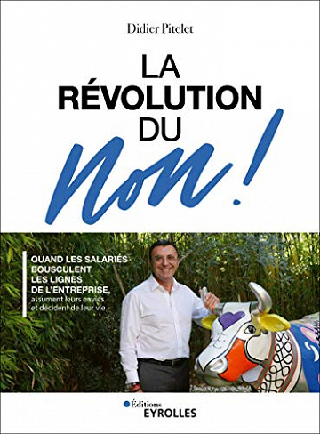 La révolution du Non !: Quand les salariés bousculent les lignes de l’entreprise, assument leurs envies et décident de leur vie - Didier Pitelet (2020)