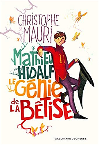 Mathieu Hidalf, le génie de la bêtise - Christophe Mauri