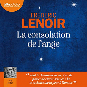 La Consolation de l’ange - Frédéric Lenoir (2020)