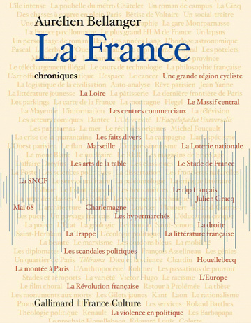 La France, Chroniques - Aurélien Bellanger