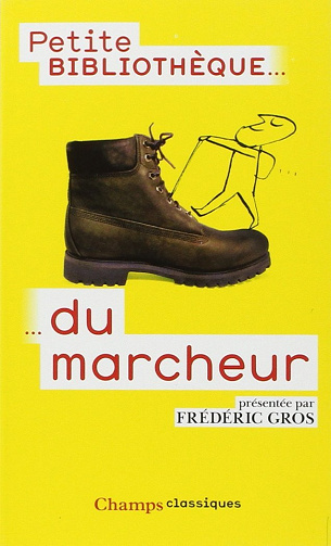 Petite bibliothèque du marcheur - Frédéric Gros