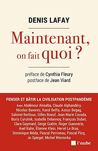 Maintenant, on fait quoi ? - Denis Lafay (2020)