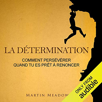 La détermination: Comment persévérer quand tu es prêt à renoncer - Martin Meadows