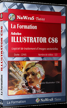 La Formation Illustrator CS