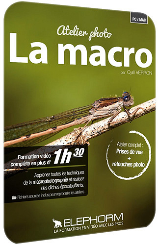 Elephorm – Atelier photo : La macro