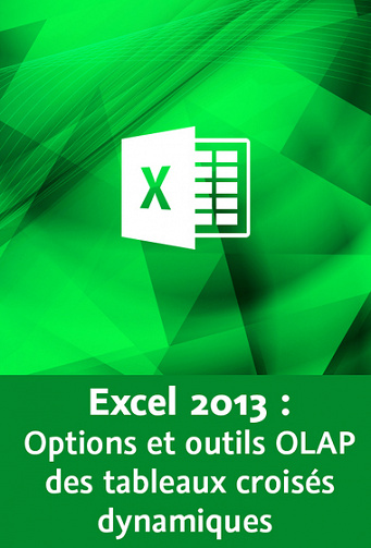 Excel 2013  Options et outils OLAP des tableaux croisés dynamiques