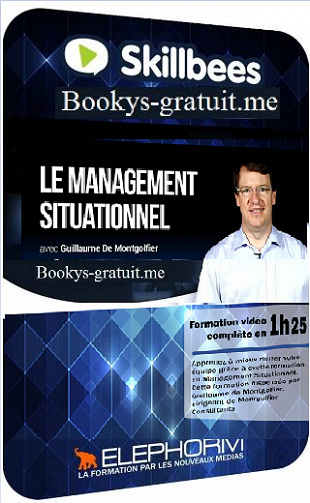 Skillbees - Le Management Situationnel