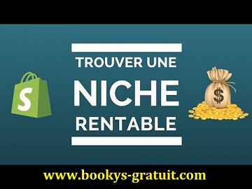 Udemy - Dropshipping Comment trouver une niche rentable rapidement, et bien plus! (2018)