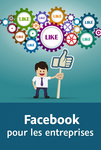 In ELEARNING Video2Brain - Facebook pour les entreprises