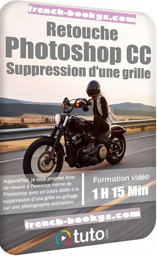 Tuto – Retouche Photoshop CC – Suppression d’une grille (2020)