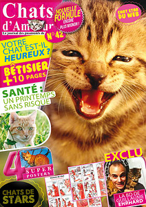 Chats D’Amour No.42 - 2016