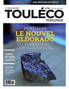 Touléco Toulouse - Mai-Juillet 2017