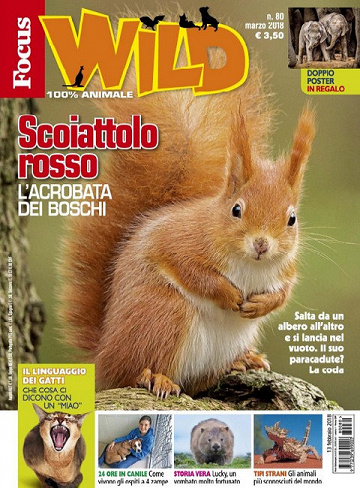 Focus Wild Italia N°80 - Marzo 2018
