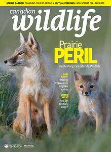 Canadian Wildlife - March-April 2018