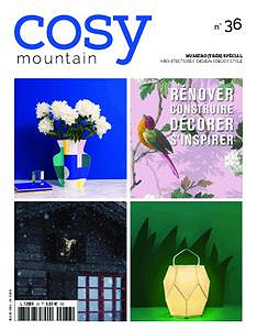 Cosy Mountain N.36 2018