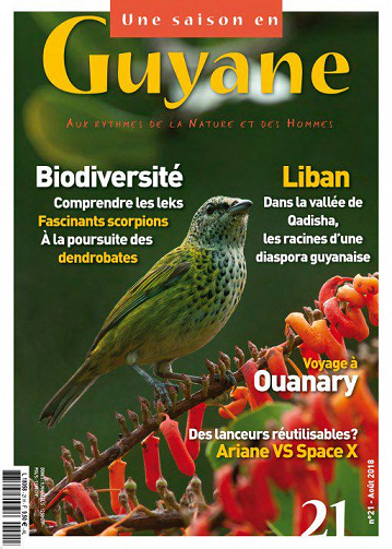 Une saison en Guyane - Août 2018